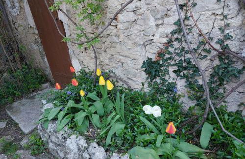 Rêve de Provence Villa avec jardin et piscine - Foto 47
