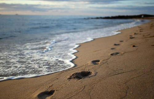 Cosy apartment for family in Sellin - Foto 24