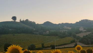 La Casa del Duca - Foto 5