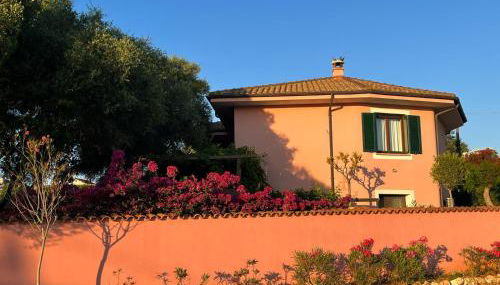 Domo Rosada - Foto 4