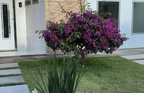 Aptos Luxo completo 2 e 3 quartos em Guriri 300 mts da praia Wi-fi grátis - Photo 16