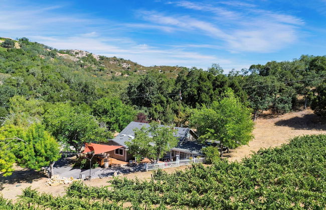Luxury Wine Country Haven + Vineyard Views Near Top Wineries Adelaida Farmhouse - Foto 48
