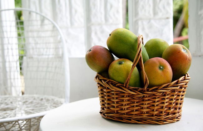 Millsborough Guest Apartments - Foto 1