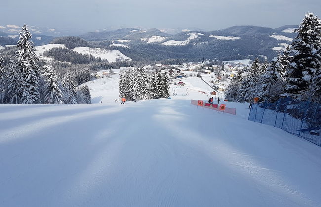 Apartmaji Koželj - Foto 34