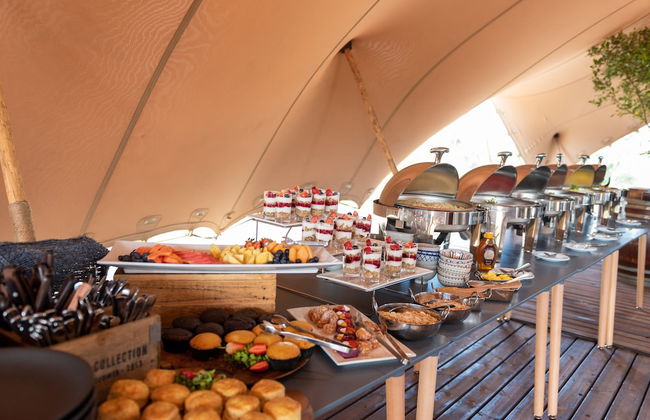 Kruger Untamed - Tshokwane River Camp - Photo 30