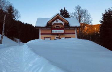 Baita Alpenrose - Photo 33