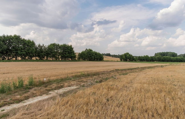 A Cave House With a Historic Charm - Foto 31