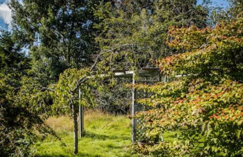 Home Comforts in Peaceful 2 Acres - Photo 64