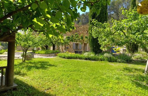 villa l oliveraie - Foto 26