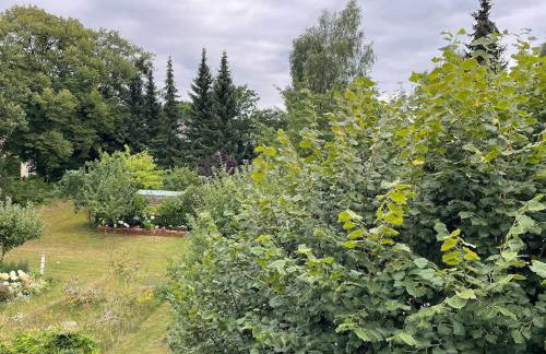 Große Wohnung mit Loggia - Photo 66