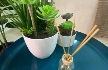 Casa da Ribeira - Mosteiros - Foto 6