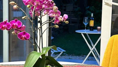 Monolocale con giardino - Foto 4, Garden