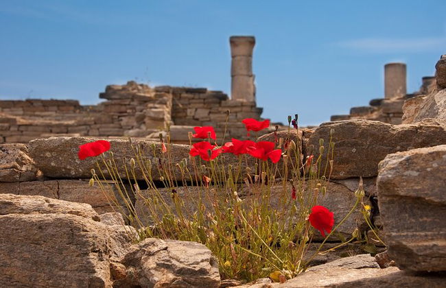 Visita de Delos para grupos pequeños con guía experto de Mykonos - Foto 6