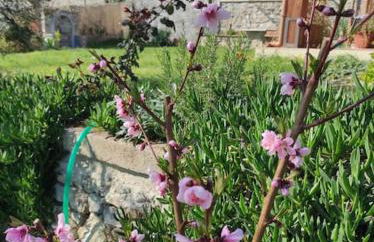 Il giardino fiorito - Foto 6