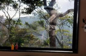 Casa do Alto Santa Mônica- Natureza ao seu redor - Foto 31