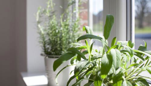 Ferienhaus Brise - Foto 5