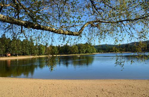 Gîte Wistéria - Foto 40