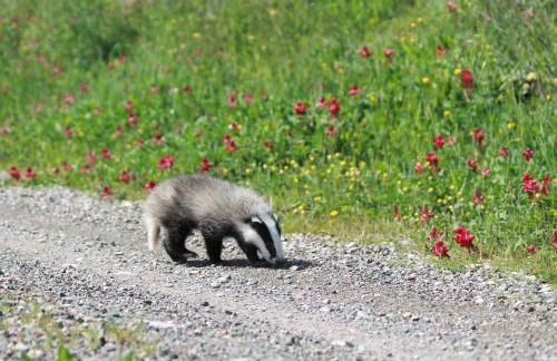 Agriturismo Cantagalli - Foto 122