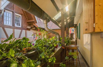 Ferienwohnungen Altes Rathaus - Foto 68