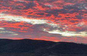 Herdade d'Amoreira Rosmaninho Studio - Foto 7