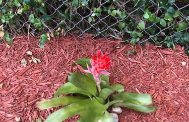 NEW Luxurious Studio Private in the heart of Miami - Foto 29