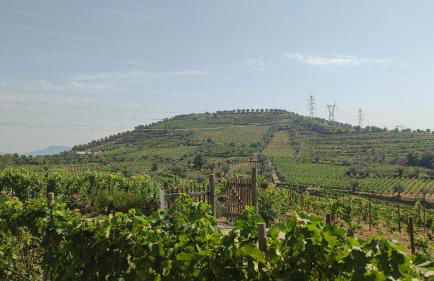 Quinta dos Padrinhos - Suites in the Heart of the Douro - Foto 11