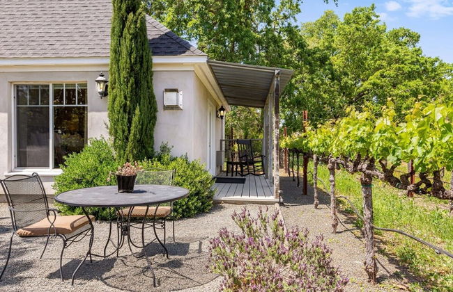 French Provencal Chateau in the Heart of Napa - Foto 11