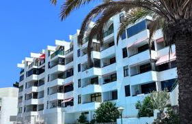 El Lagarto 1008 - Photo 4