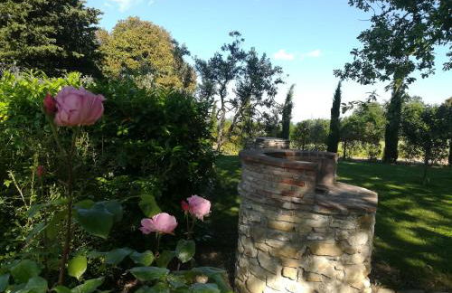 Agriturismo La Scarpaia - Foto 18