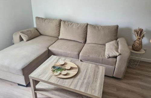 Spacieux et Lumineux proche CDG-PARIS-PARCS - Foto 8