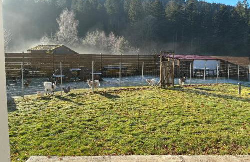 Gîte coquelicot les cœurs du tilleul - Photo 13