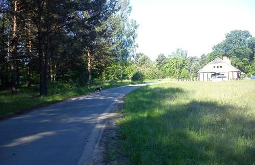 Ferienwohnungen 3 Birken - Foto 2