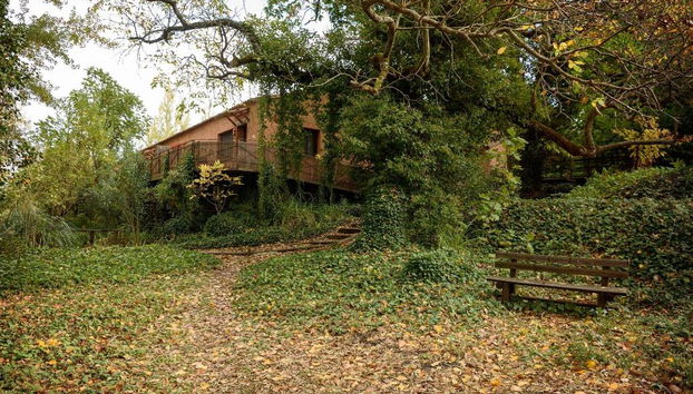 Molinos De Fuenteheridos - Foto 3