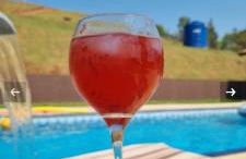 Chácara Santa Rita - Photo 9