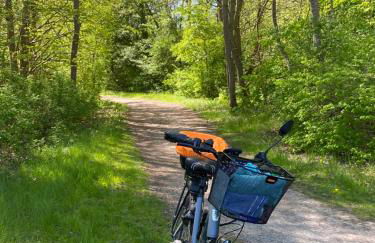 Ferienwohnung Ausguck - Foto 47