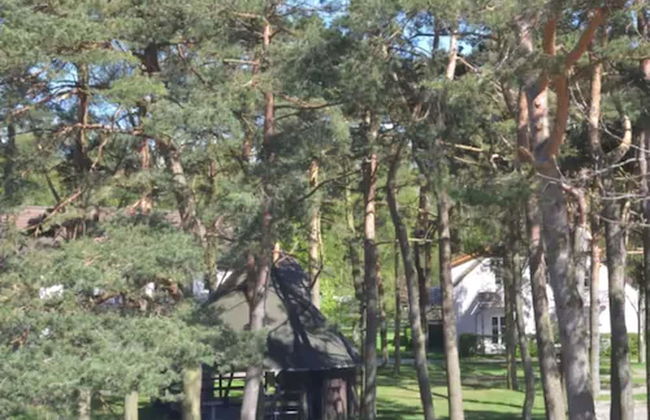 Parkresidenz Dierhagen - Photo 60