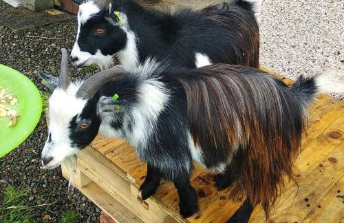 Cottage with Panoramic Views - Photo 20