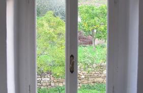 Ligurisches Rustico, umgeben von Olivenhainen am Dorfrand - Foto 21