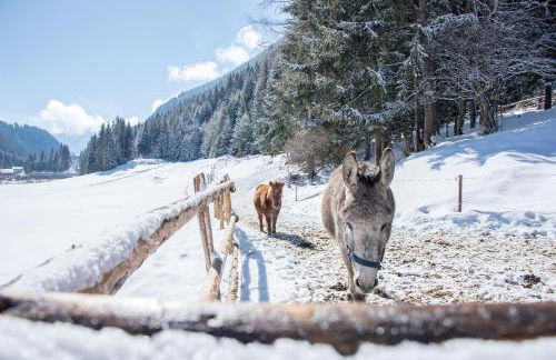 Valsegg Chalets Südtirol - luxury and private hideaway - Foto 70