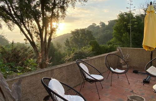 Maison au calme piscine mer au coeur de la nature U Nuciolu - Foto 23