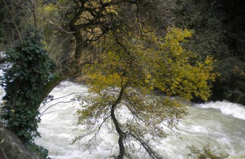 Appartement à FONTAINE DE VAUCLUSE - Foto 18