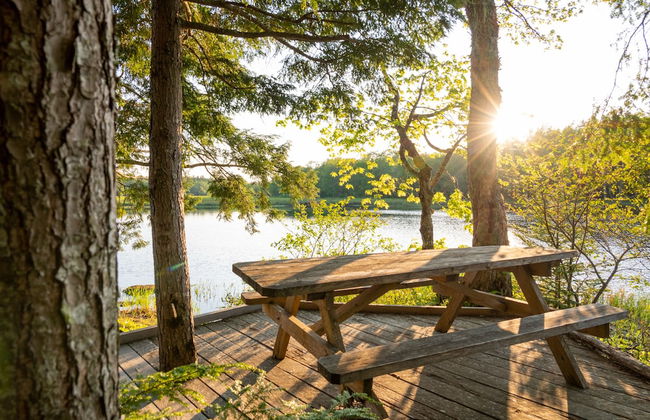 Mersey River Chalets a nature retreat - Foto 43