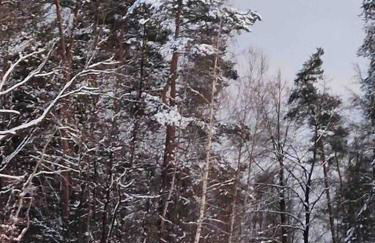3 Zimmer Neubauwohnung in der schwäbischen Toskana - Foto 47