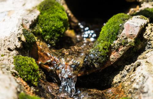 Azienda Agricola Biologica La Cardellina - Foto 48