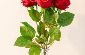 Kamiñalde - baskeyrentals - Foto 25