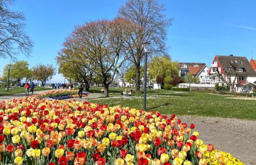 Ferienwohnung Fischerstrasse - modern und seenah mit Wohlfühlcharakter - Foto 23