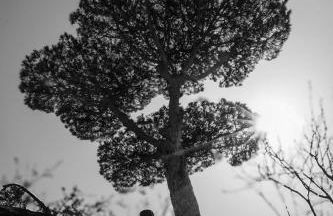 L'antica Pigna Chateau - Foto 8