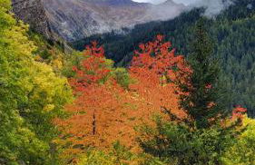 CHALET ARLETTE - Photo 20