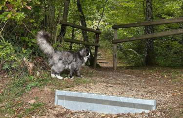 Ferienwohnung am Eifelsteig - Foto 27