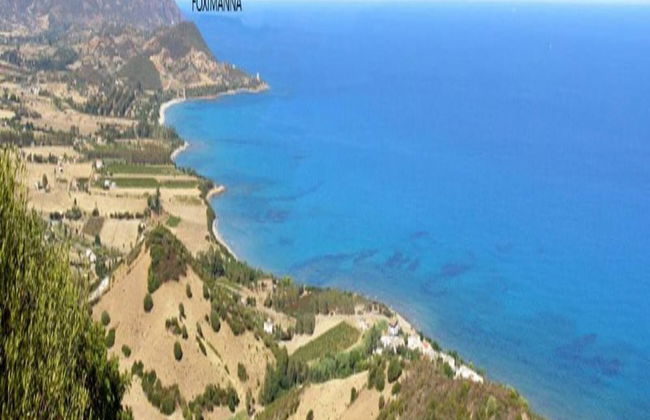 Foximanna on the North Floor in a Villa Surrounded by Greenery Facing the sea - Photo 62